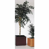 B Furniture Artificial Plants - Trees